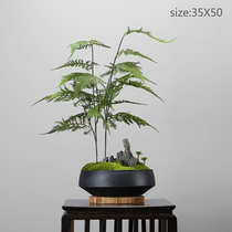 Chinese simulation bamboo plants micro landscape landscape landscape flowers a few study tea room desk soft decorations ornaments