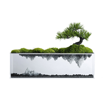Chinese Zen landscape reflection simulation welcome pine bonsai green plant model room porch tea room study