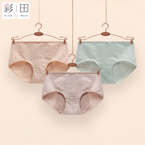Caitian summer physiological underwear female menstrual aunt period before and after leak-proof sanitary pants solid color breathable summer thin underwear