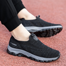 Spring and Autumn Huili Dad Shoes Elderly Sports Shoes Male Breathable Anti-skid One-pedal Mesh Middle-aged and Elderly Soft-soled Travel Shoes