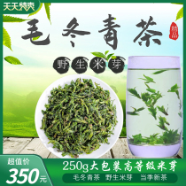 21-year-old new tea Mao Dongqing tea Premium wild Yunnan 250g buds rice buds Green mountains and green water tea