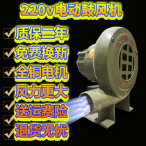Large air volume and high power electric blower 220V canteen hotel boiler industrial barbecue stove blowing home