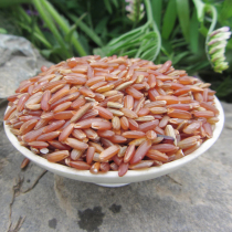 Yangxian red rice non-dyed farmhouse whole grain coarse grain rice Shaanxi specialty red rice red brown rice red fragrant rice