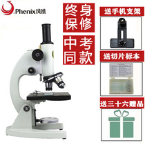Phoenix optical professional biological microscope XSP-02 clear primary school students Middle School Students children high school entrance examination experimental science