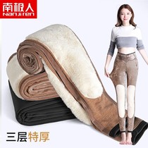 South Pole Special Thickness Three Layers Warm Pants Women Winter Lamb Cashmere Kneecap Outside Wearing Thickened Glint Wearing Undercotton Pants