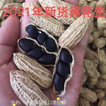 2021 Puer Zhenyuan black peanut selenium-enriched old varieties with Shell taste sweet taste in bulk 4 options