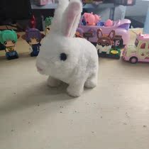 Walking the small white rabbit