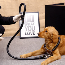 Medium large canine traction rope puppies Half P chain P rope gold wool dog chain sub-leather traction with Labrador Dog God