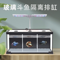 Thai fighting fish tank glass multi-grid isolation tank heating back filter free water change maintenance ecological tank desktop small
