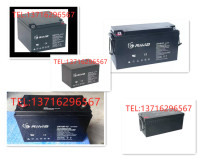 RIMA Ruima battery UN17 12V7AH 24AH38AH65 100AH120AH 200A150 security