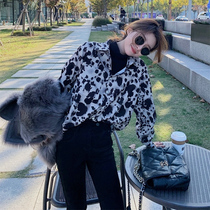 Fold with long sleeve jacket women's 2021 spring and autumn new Korean version of design feeling small foreign style Joker BAO WEN shirt hat