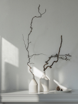 Chinese-style Japanese-style flower arrangement artifact dry branches high-end natural dry branches homestay hotel dead branches decoration dragon jujube branches