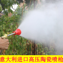 Spraying machine spray gun high pressure spray gun fruit tree garden Italy adjustable atomization hand pressure gun water gun Agricultural