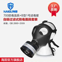 Haegu 700 Gas Mask Secondary B Tank Inorganic Gas Protective Filter Gas Mask