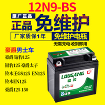 Motorcycle battery 12n9 maintenance-free 12v Universal dry battery Suzuki King 125 Diamond leopard taezi Hao battery