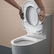 Suitable for Lanjian Mona Lisa toilet cover Universal toilet cover Toilet cover Universal thickening