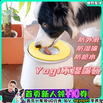 South Korea Yogi Bowl pet Water Bowl Antibacterial Splash Without Wet Mouth Water Basin Drinking Water Large Capacity Buoyancy Bowl