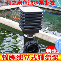 Hezhiquan AP (Hezhiquan)vertical fish pond circulation pump Dry impeller axial flow pump Pond pumping pump special pump