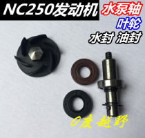 Zongshen NC250 engine TK6 polar thief Warwolf Zuma Beihai off-road vehicle water pump shaft impeller oil seal water seal