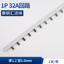 Brass c451p bus 32A thick 1 2 wide 5 0mm machine room distribution box grounding copper bus