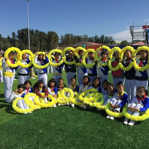 Церемония открытия Движения цветочного кольца с твердым кружком в детском саду танцевальной гимнастики