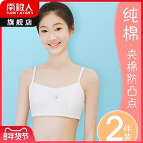Developmental adolescent female students high school girls vest junior high school students cotton underwear bra children wear