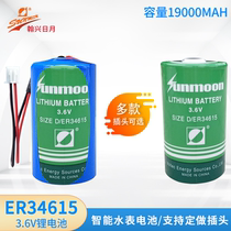 Hanxing Ryue ER34615 energy type 3 6V flow meter gas meter water meter 1 Battery D type with plug