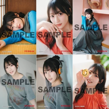 青木阳菜-青木阳菜促销价格、青木阳菜品牌- 淘宝