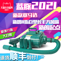 Blue dolphin electric heating pet double Mada water blower pet shop large dog high power Satsuma golden hair dryer