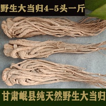 Minxian wild angelica 500g wild Super Angelica sinless big root angelica Angelica sinensis