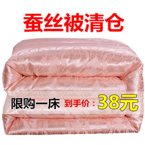 Silk quilt 100 mulberry silk quilt thickened warm winter quilt spring and autumn cotton quilt single double summer quilt air conditioning quilt core
