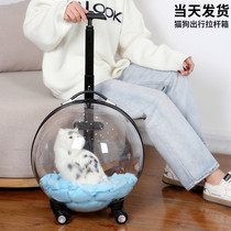 Cat bag trolley box Cat backpack out to carry transparent dog pet supplies luggage Large capacity summer capsule