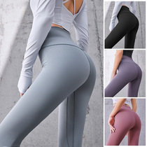Yoga Suit Summer Sports Suit Female Beginners Gym Professional High-end Running Suit Fitness Sports Suit Quick Drying