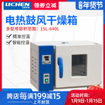 Lichen technology electric constant temperature blast drying oven oven industrial oven laboratory aging drying box Commercial
