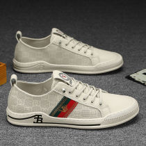 2022 New small white shoes mens spring and autumn breathable 100 lap sails cloth shoes mens Korean version Trend grid casual board shoes men