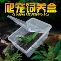 Reptile Feeding Box Climbing Pet Feeding Box Spider Horned Frog Gogong Box Lizard Pet Snake Scorpion Insect Tortoise Tank