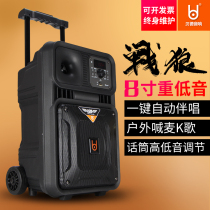 Bede Warwolf 6 inch 8 inch outdoor square dance audio mobile lever speaker with wireless microphone K song portable