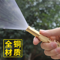 Direct injection copper high pressure water gun copper household car wash car water gun nozzle car washer car booster cleaning gun head