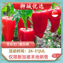 (Vegetable) Red pepper 1kg Singapore local delivery