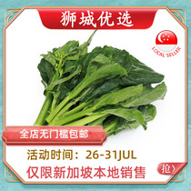 (Vegetable)kale 1kg Singapore local delivery