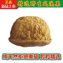 Wind fruit wild glans head fruit Tianzhu grain Guangxi specialty off vine fruit thick scale Ke 500g
