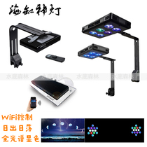 Sea cylinder magic lamp full spectrum Neus K7 light 1201wifi dimmable Sunrise Sunset Sea coral lamp