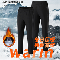 Autumn and winter outdoor thick casual pants sports pants loose casual straight tube pants mens warm cotton trousers
