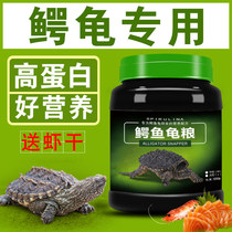 Crocodile tortoise turtle feed crocodile turtle feed small crocodile turtle food Buddha crocodile tortoise spiny Buddha crocodile tortoise Food big snapping turtle food