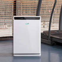 Andi Xi Duo XD480 air purifier home bedroom formaldehyde haze sterilization negative ion pollen 0 3
