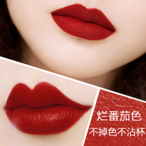 No fade no cup of rotten tomato color lipstick raincoat matte durable waterproof moist red big name