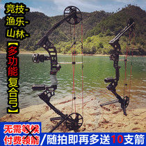 Composite bow and arrow lightning Wolf archery mechanical pulley bow outdoor adult bow metal competitive scenic spot competition traditional bow