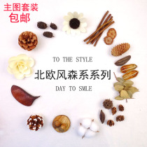 Nordic forest dried fruit set pine cone leaves dried flower diy creative specimen photo frame photo props desktop ornaments