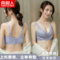 Antarctic Underwear Women's Small Chest Gather Without Steel Rings Breast Anti-sagging Upper Support Adjusted Traceless Bra