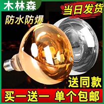 Explosion-proof bath heater bulb 275W toilet old bath heater heating bulb led middle lighting baking lamp light source